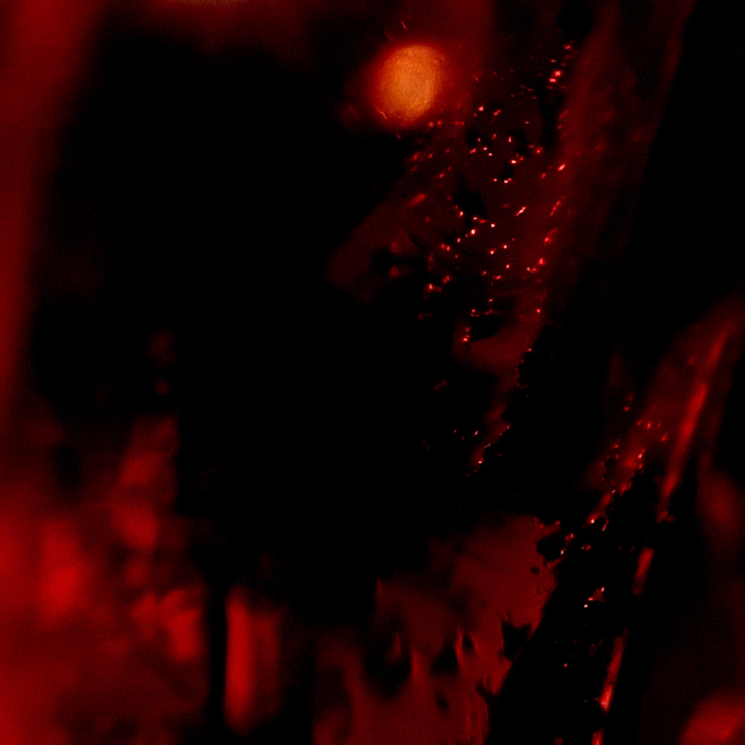 Makroaufnahme eines Burma-Spinells in vivid red, typische Burma Inklusionen zeigen die Echtheit dieses Kunstwerks