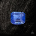 Arctic Passage - Character-Gems.art