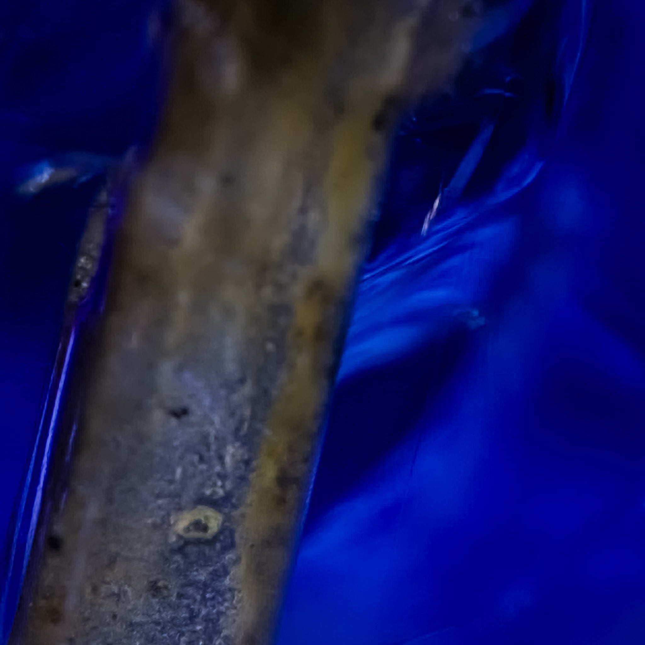 Azure Faultline - Character-Gems.art