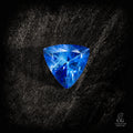 Blue Singularity - Character-Gems.art