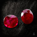 Burmese Pigeon Twins - Character - Gems.art