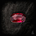 Crimson Frequency - Character - Gems.art