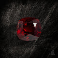 Crimson Paradox - Character - Gems.art