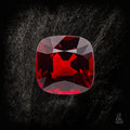 Crimson Paragon - Character - Gems.art