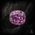 Dreamcatcher - Character-Gems.art