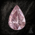 Ghost Orchid - Character-Gems.art