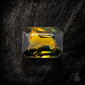 Gilded Threshold - Character - Gems.art