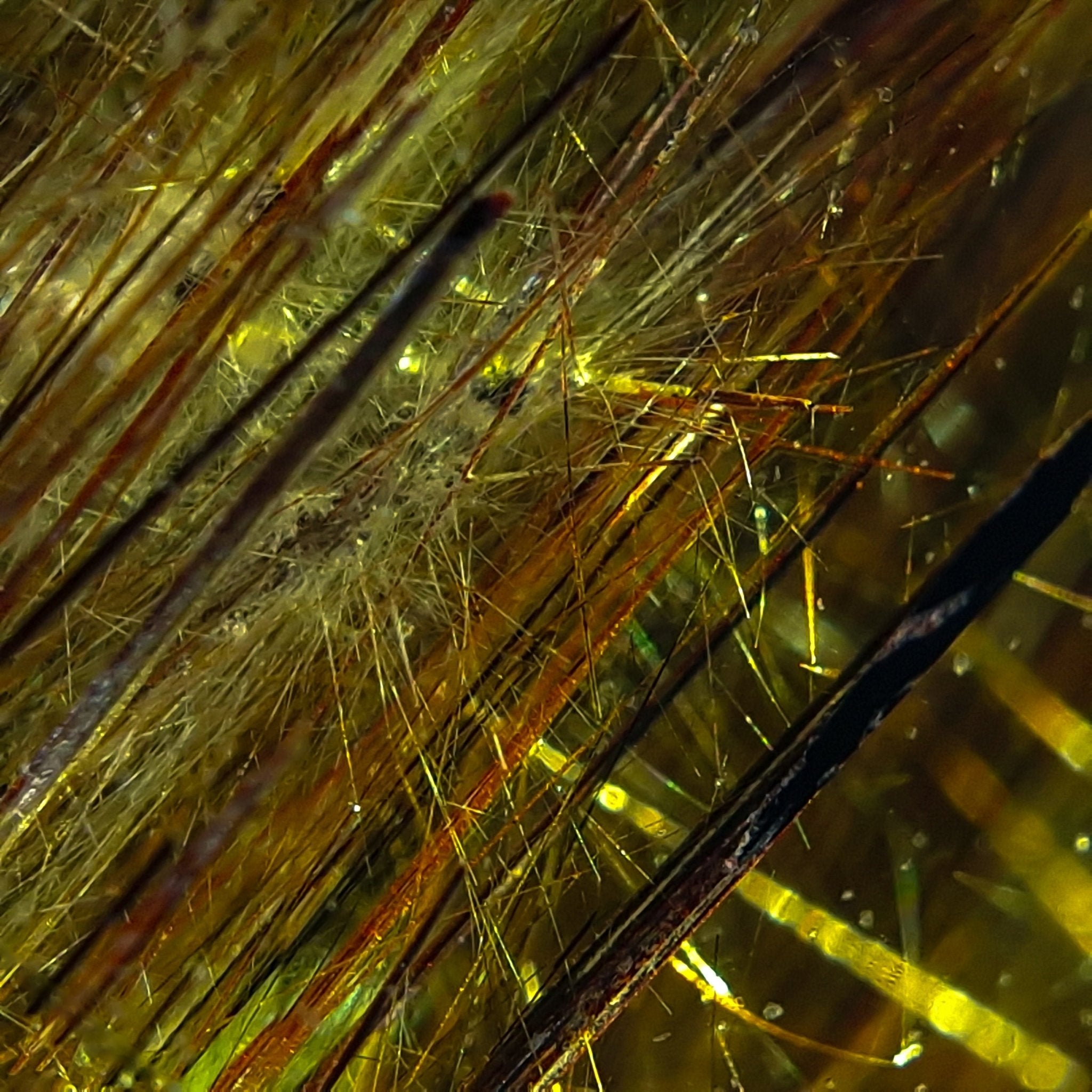 Gilded Veins - Character-Gems.art