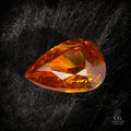 Golden Apex - Character-Gems.art