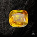 Golden Spectrum - Character-Gems.art