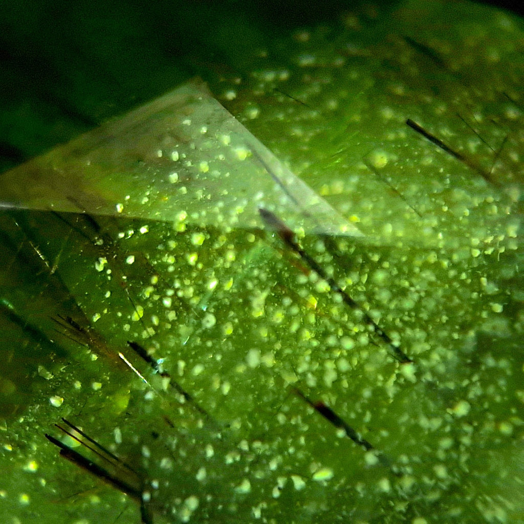 Green Relic - Character-Gems.art