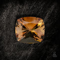 Honey Framework - Character - Gems.art