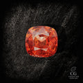 Ignition - Character-Gems.art