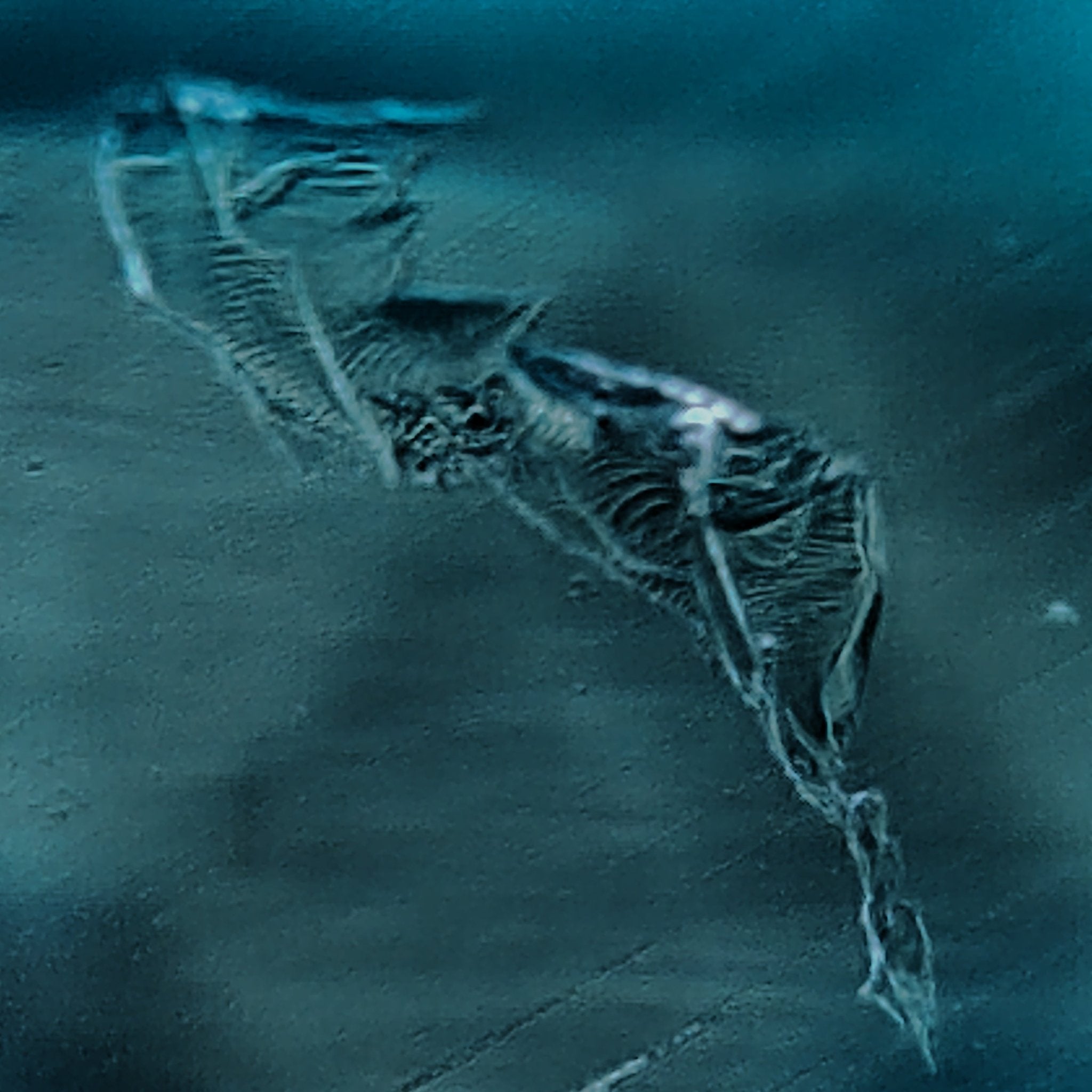 Indigo Tectonic - Character - Gems.art