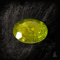 Little Ludwig - Character - Gems.art