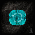 Lost Lagoon - Character-Gems.art