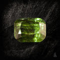 Ludwigite Field - Character - Gems.art