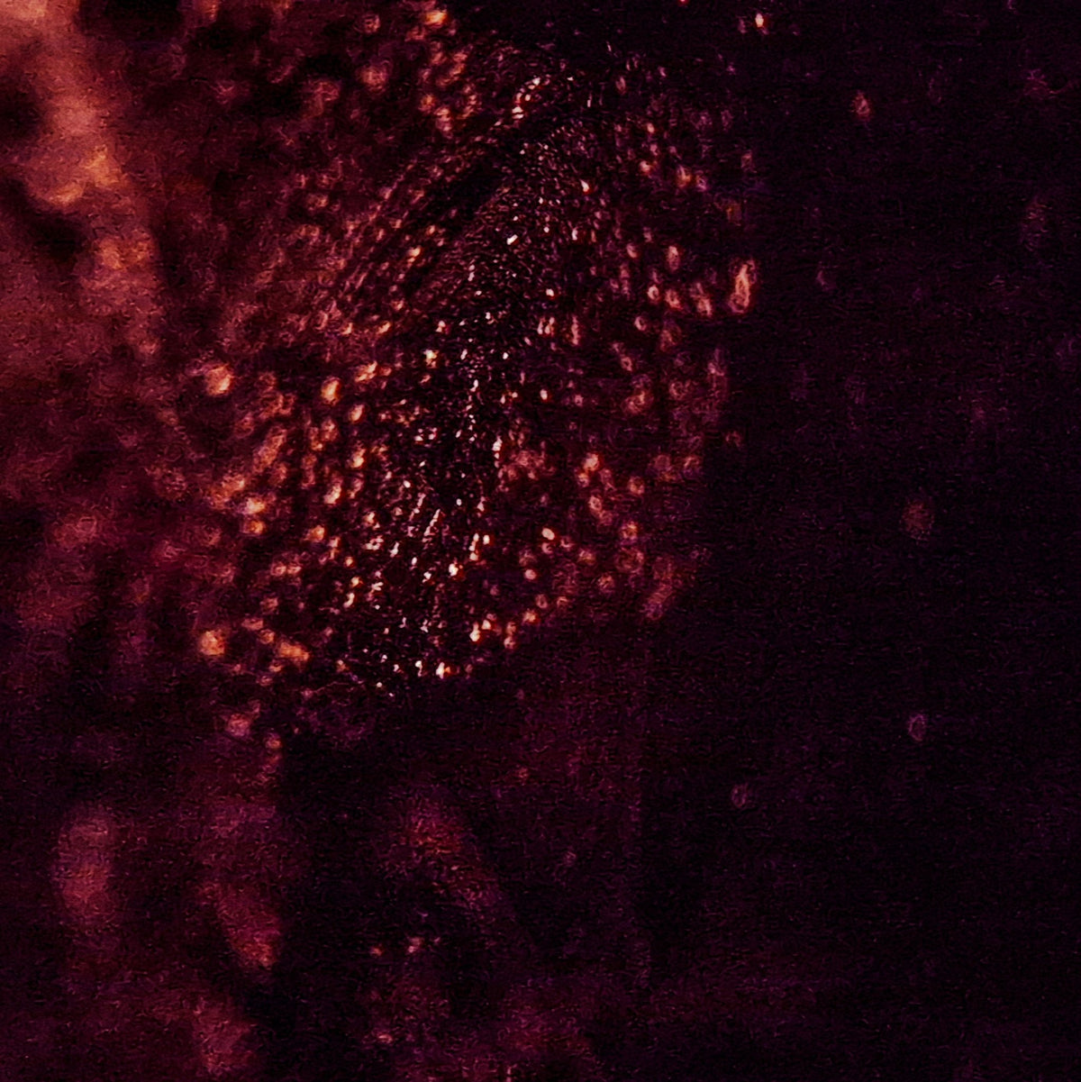 Nebula Veil - Character-Gems.art