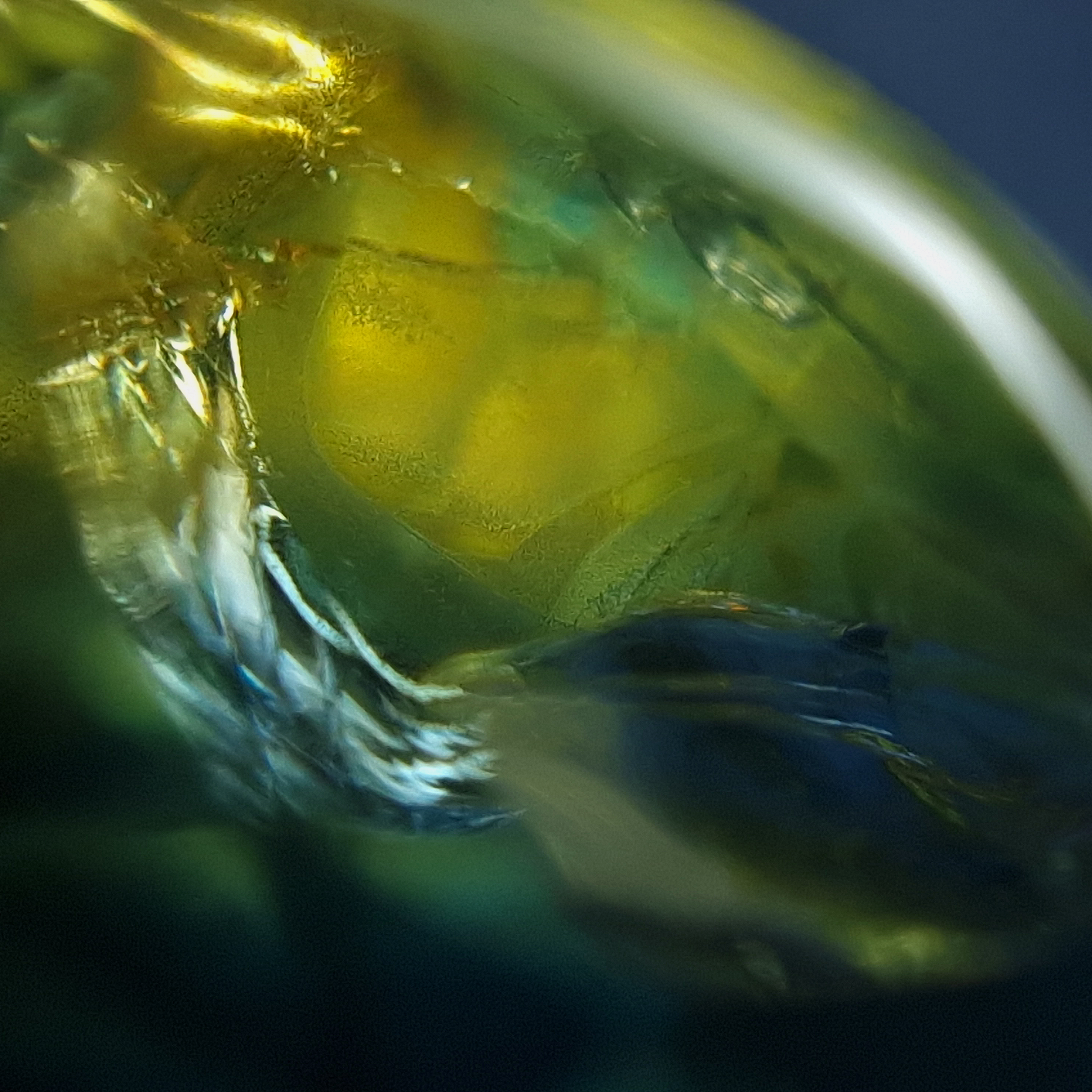 Makrofotografie eines Partisaphirs aus Australien mit grün-blauen Farbverläufen und fließenden inneren Strukturen