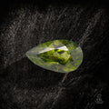 Pearing Ludwig - Character - Gems.art