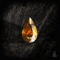 Phase Shifter - Character - Gems.art