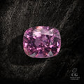 Pink Voltage - Character-Gems.art