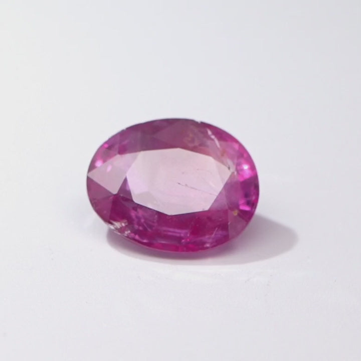 Fuchsia Apex
