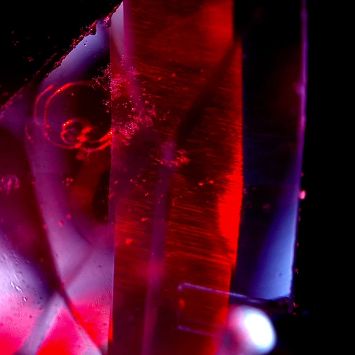 Velvet Pulse