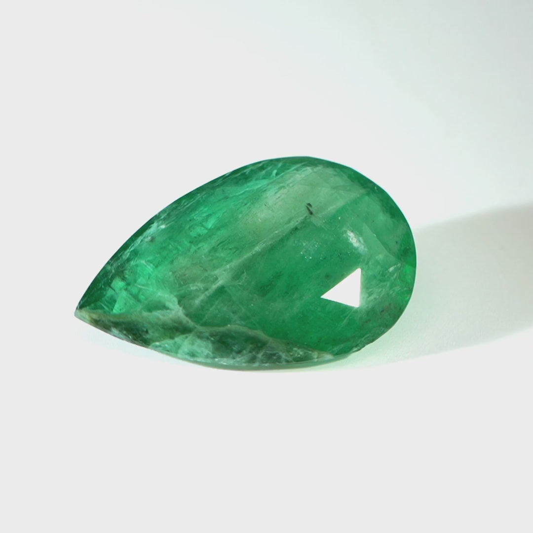 Verdant Matter