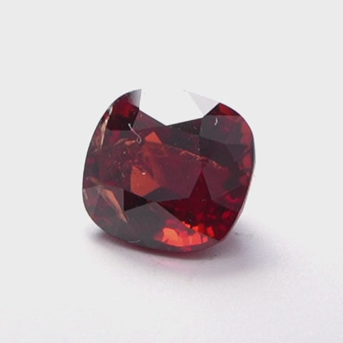 Crimson Paradox