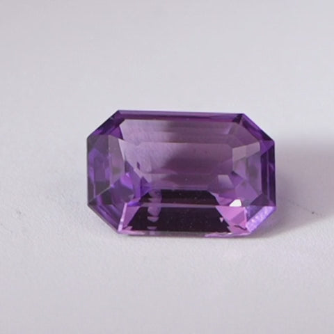 Orchid Structure