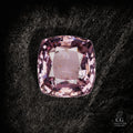 Rose Ash - Character-Gems.art