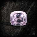 Rosé Mass - Character - Gems.art