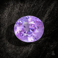 Royal Disturbance - Character - Gems.art