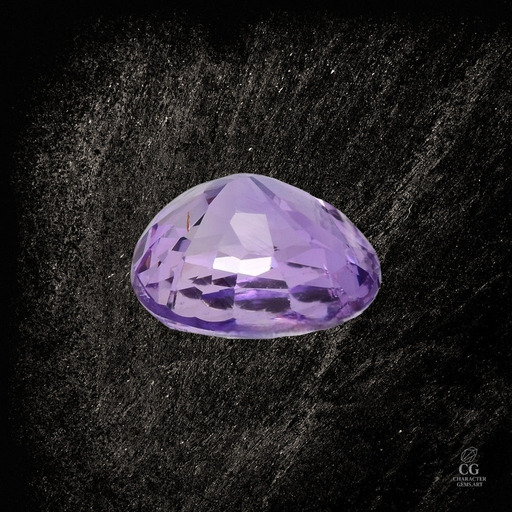 Royal Disturbance - Character - Gems.art