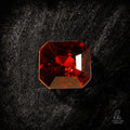 Rubra Structura - Character - Gems.art