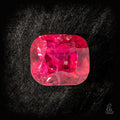 Ruby Veil - Character - Gems.art