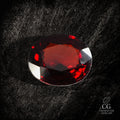 Scarlet Dynasty - Character-Gems.art