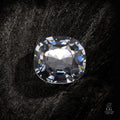 Silver Horizon - Character-Gems.art