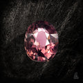 Smoked Rose - Character - Gems.art