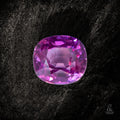 The Orchid Child - Character - Gems.art