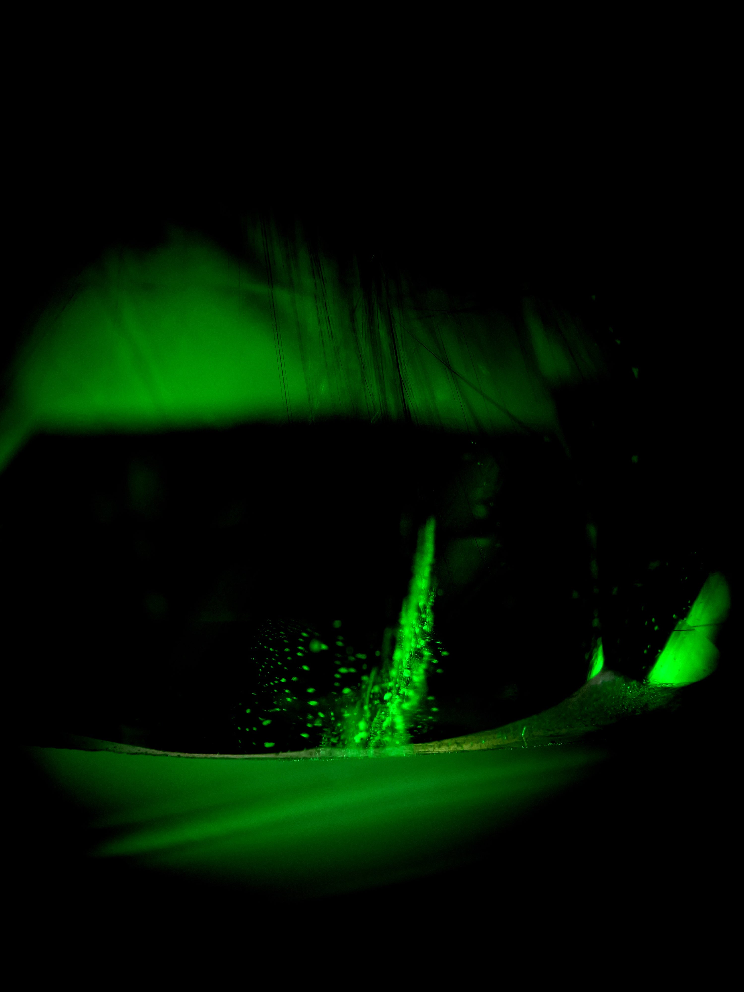 Makrofotografie eines Tsavorits mit intensiver grüner Farbe und sichtbaren Einschlüssen aus Pakistan