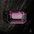 Velvet Dominion - Character-Gems.art