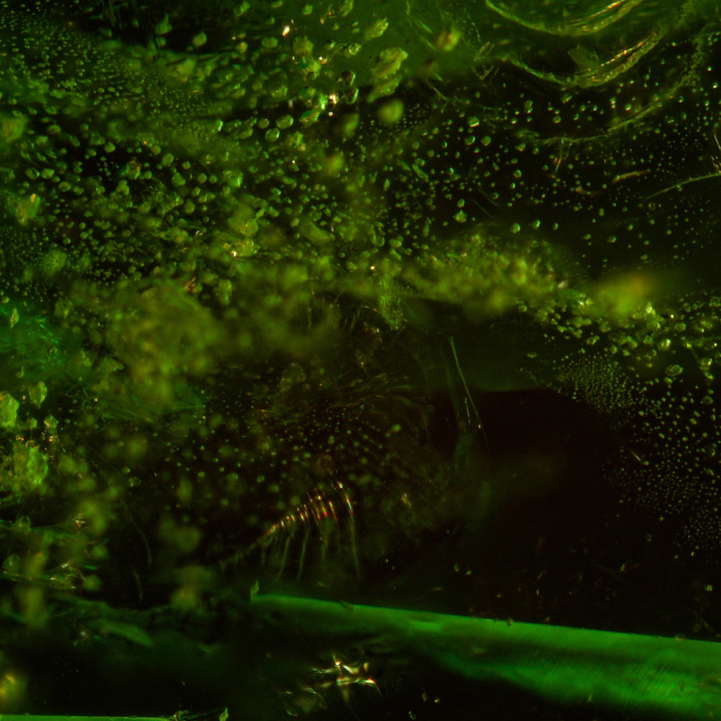 Verdant Aurora - Character-Gems.art
