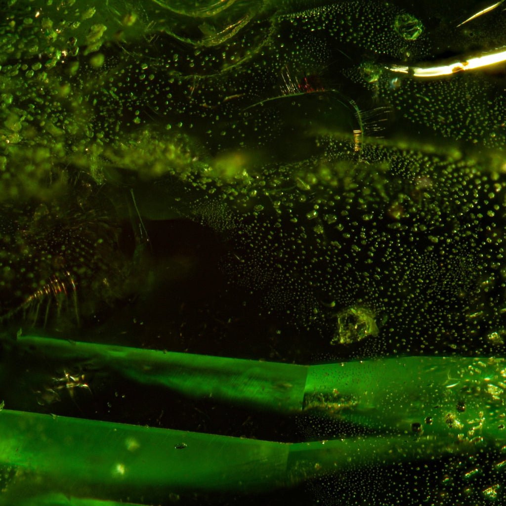 Verdant Aurora - Character-Gems.art