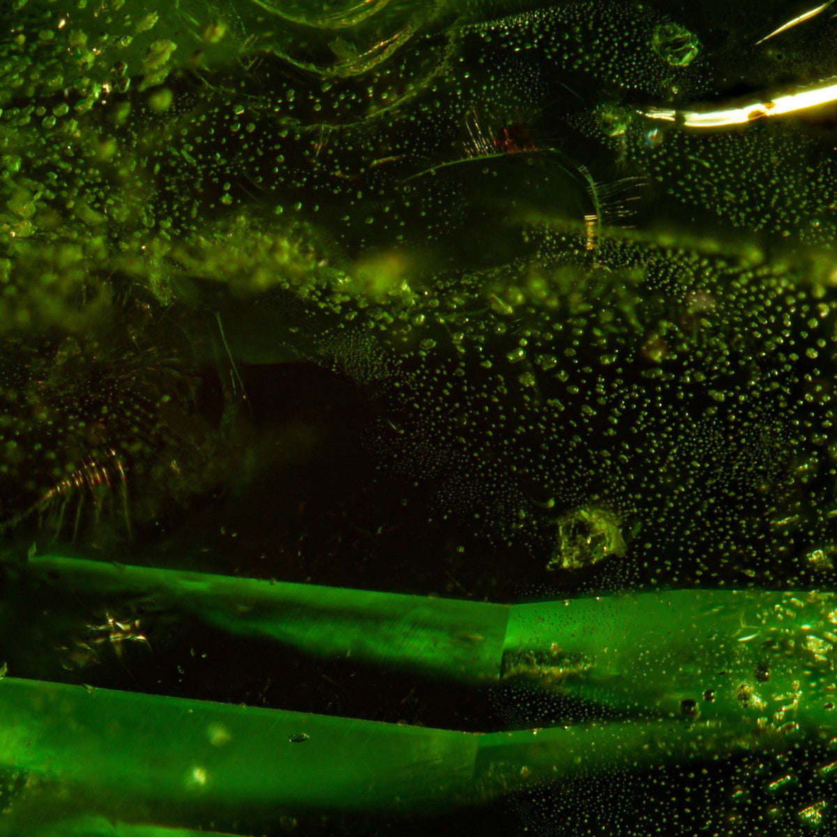 Verdant Aurora - Character-Gems.art