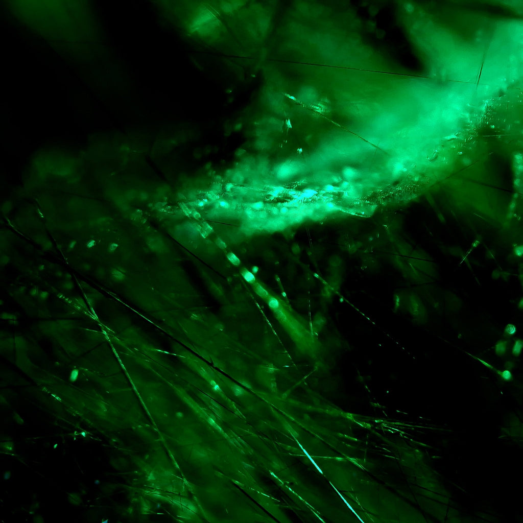 Verdant Filament - Makrofoto