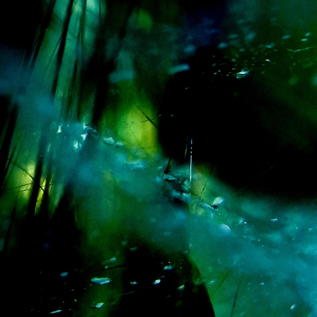Verdant Filament - Makrofoto