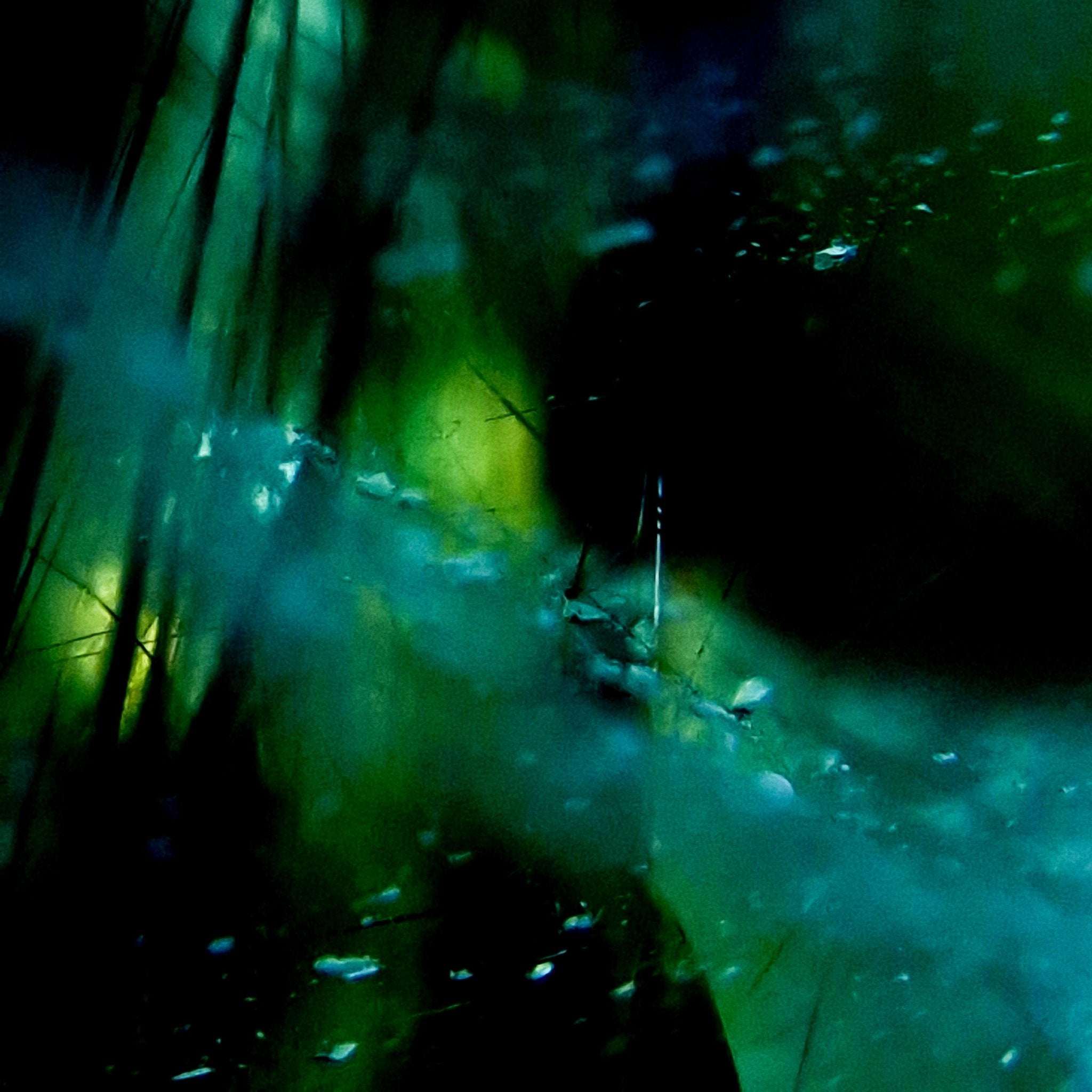 Verdant Filament - Makrofoto