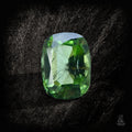 Verdant Nova - Character - Gems.art